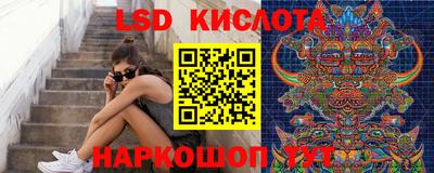 СК Славянск-на-Кубани
